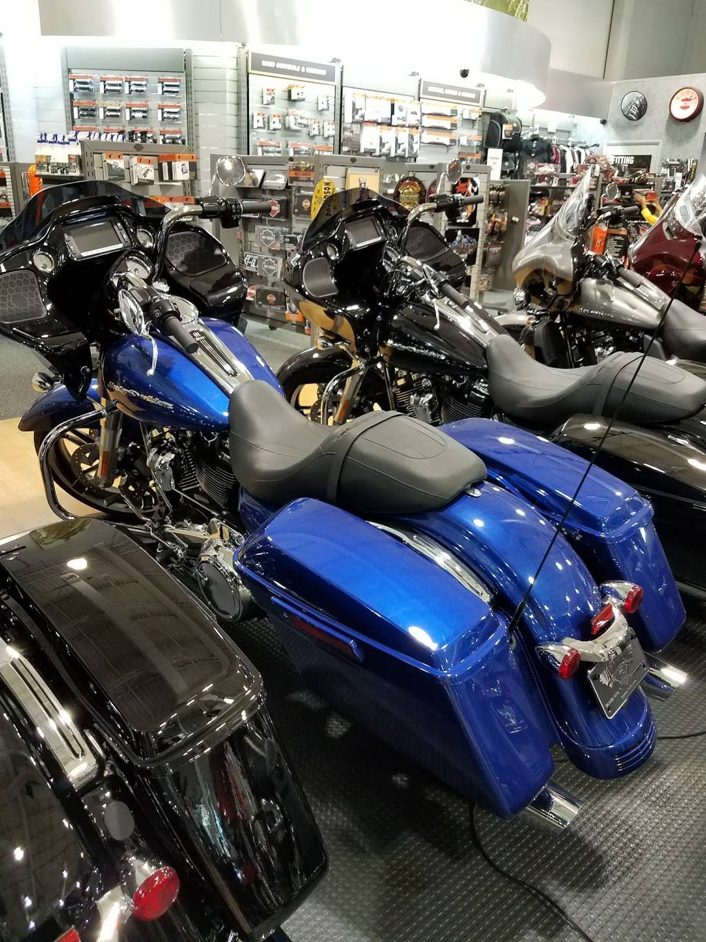 Adamec Harley-Davidson Orange Park | 1520 Wells Rd, Orange Park, FL 32073, USA | Phone: (904) 215-1931