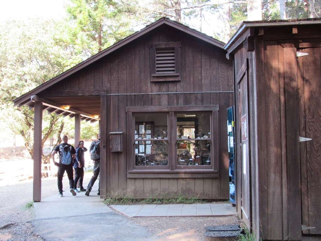 Pantoll Campground | 3801 Panoramic Hwy, Mill Valley, CA 94941, USA | Phone: (415) 388-2070