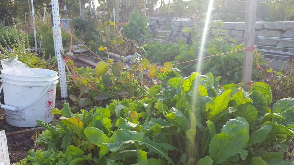 Mt Hope Community Garden | 4261 Market St, San Diego, CA 92102, USA | Phone: (619) 262-2022