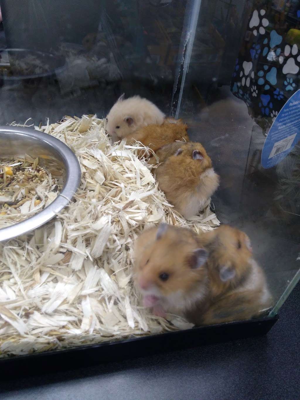 Marine Dog Pet Supplies | 1350 Hicksville Rd, Massapequa, NY 11758, USA | Phone: (516) 797-7738