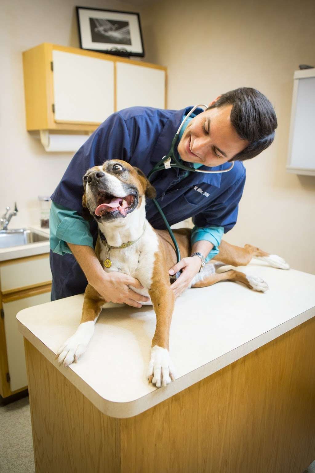 Lakewood Animal Hospital | 1301 Lakewood Dr, Morris, IL 60450, USA | Phone: (815) 942-1199