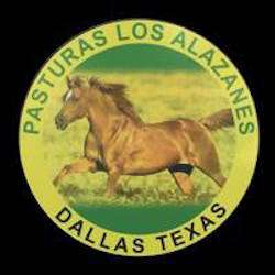 Pasturas Los Alazanes | 3110 Hickory Tree Rd, Balch Springs, TX 75180, USA | Phone: (972) 913-5331