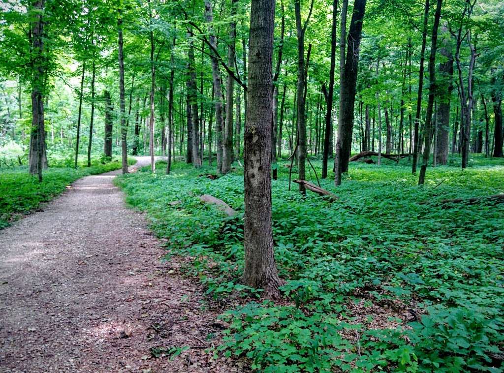 Bliss Woods Forest Preserve - Ugar Grove, IL 60554