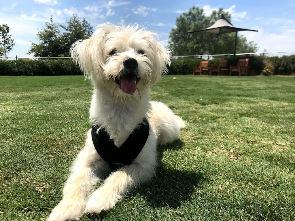 La Paws Dog Park 25100 Felipe Rd, Mission Viejo, CA 92692