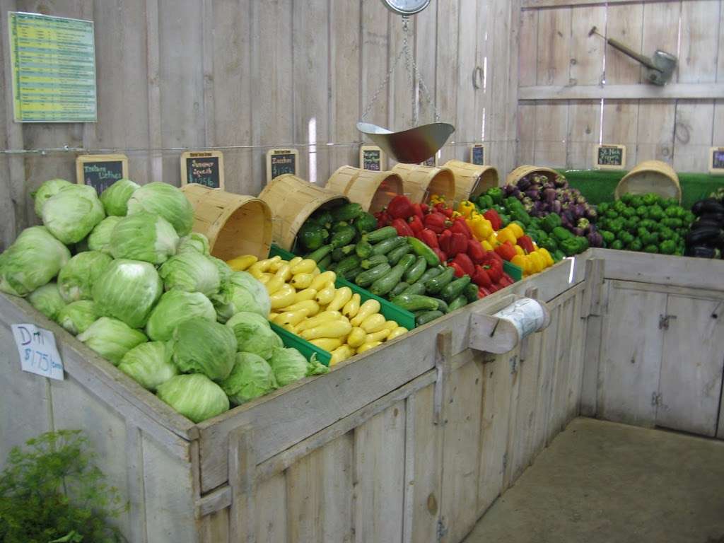 Marini Farm Stand | 259 Linebrook Rd, Ipswich, MA 01938, USA | Phone: (978) 356-0430