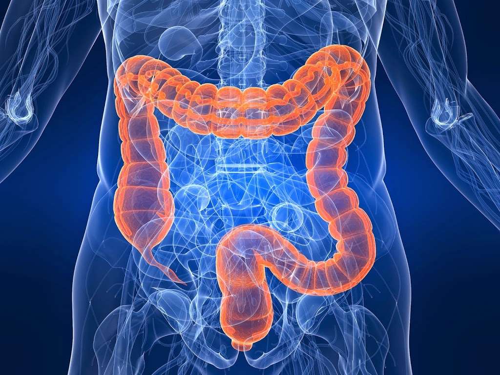 Gastroenterology Clinics | 581 Sullivan Rd, Aurora, IL 60506, USA | Phone: (630) 906-7100