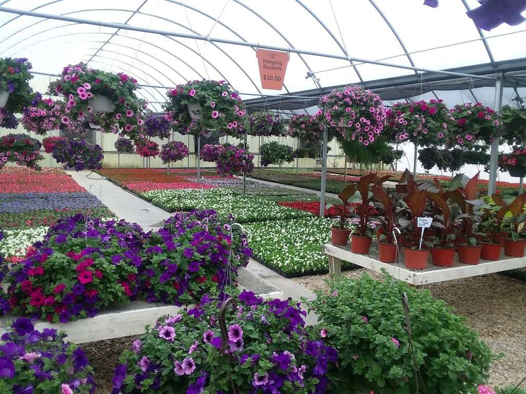 Hoffman Garden Center | 30699 US-12, Volo, IL 60073, USA | Phone: (815) 344-1990