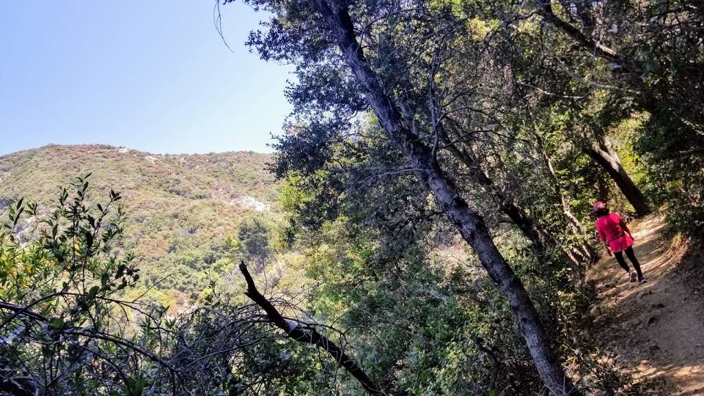 Crossroads | Sturtevant Trail, Sierra Madre, CA 91024, USA