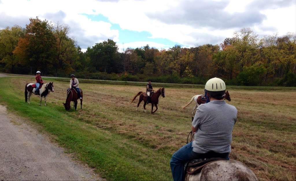 Serene Horse Ranch | 61 Co Rd 560, Branchville, NJ 07826 | Phone: (201) 841-9754