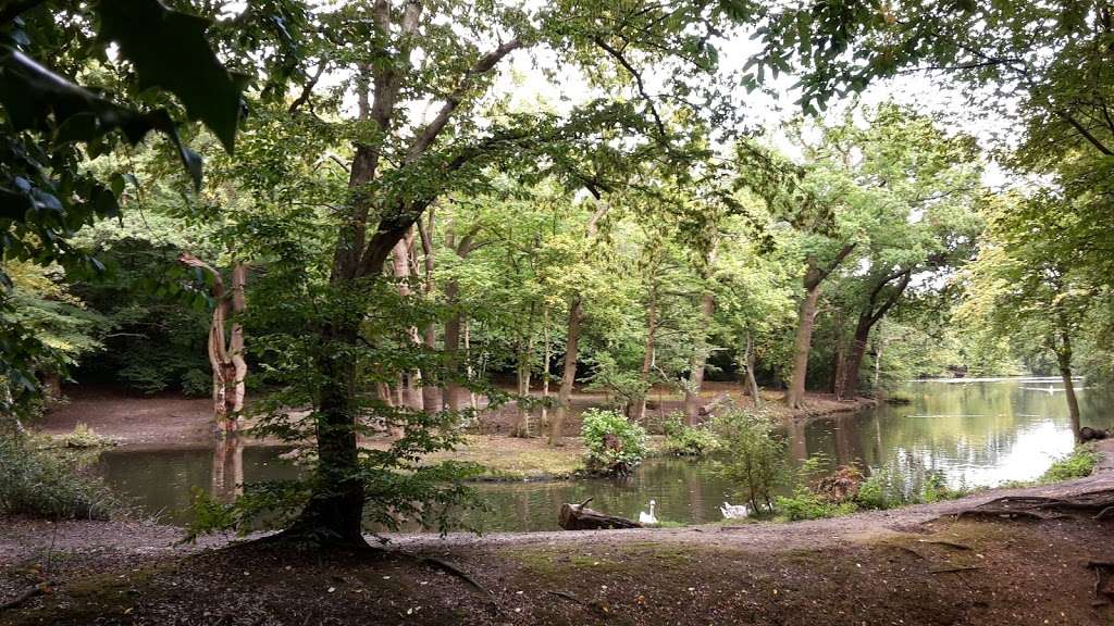 Highams Park Lake | Woodford Green IG8 9RF, UK