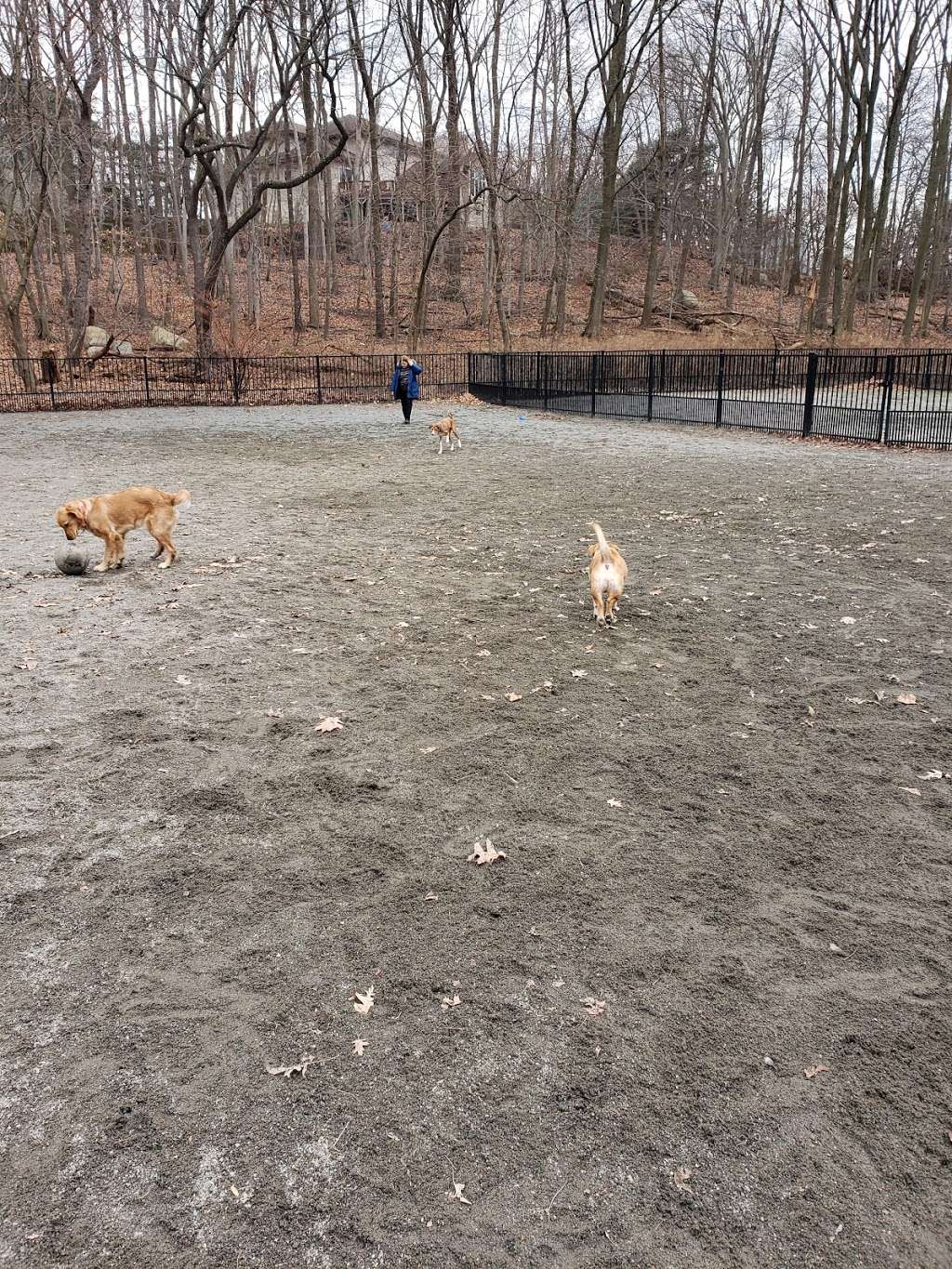 Van Saun dog park | Unnamed Road, River Edge, NJ 07661, USA