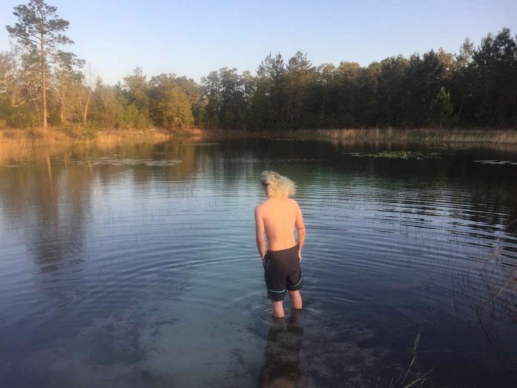 Hidden Pond | Florida, USA