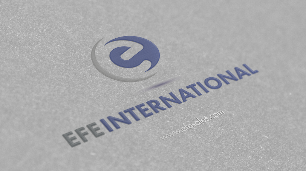 EFE International | 2246 Palmer Dr, Schaumburg, IL 60173, USA | Phone: (773) 455-4949