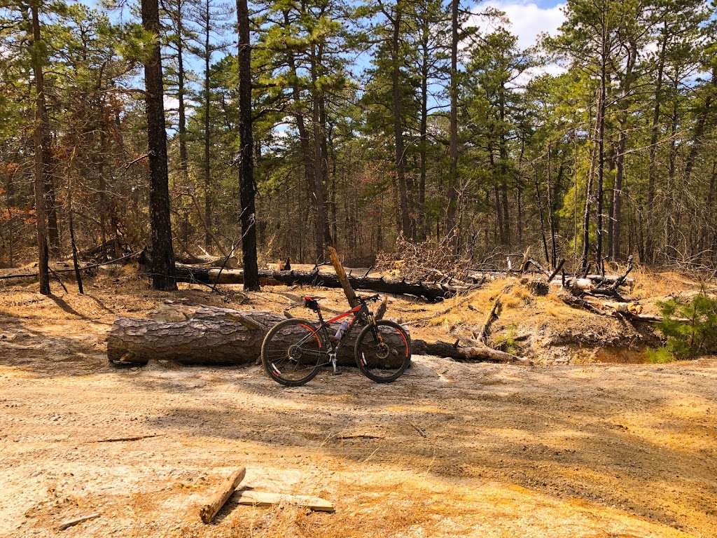 Hidden lakes | Lauries Rd, Barnegat, NJ 08005, USA