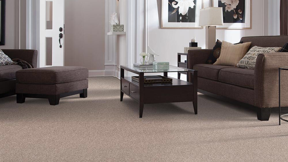 Musser Brothers Carpet Cleaning | 1726 Elfin Forest Rd #140, San Marcos, CA 92078 | Phone: (619) 376-7154