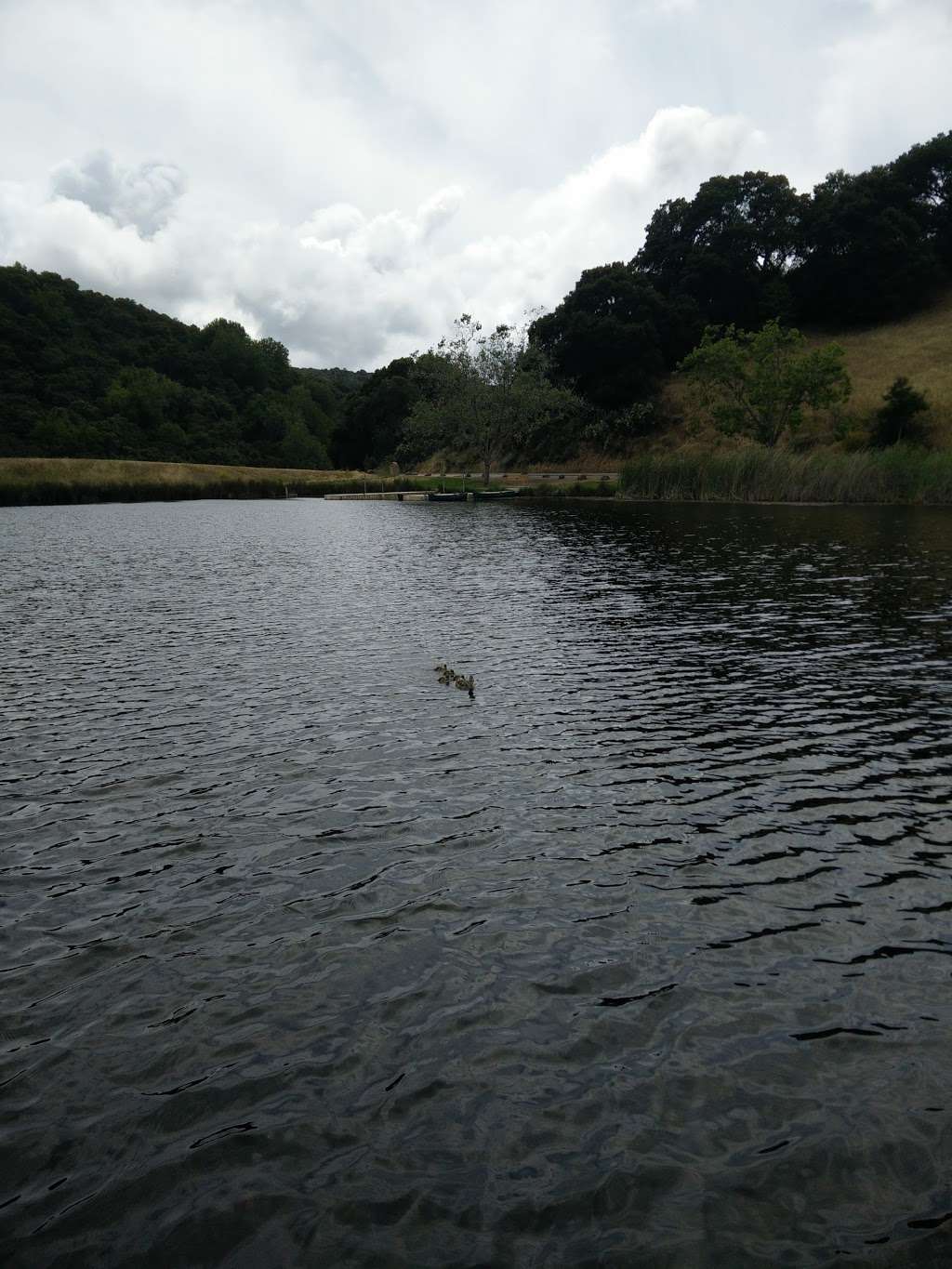 Foothills Park entrance | 11799 Page Mill Rd, Los Altos Hills, CA 94022, USA | Phone: (650) 329-2423