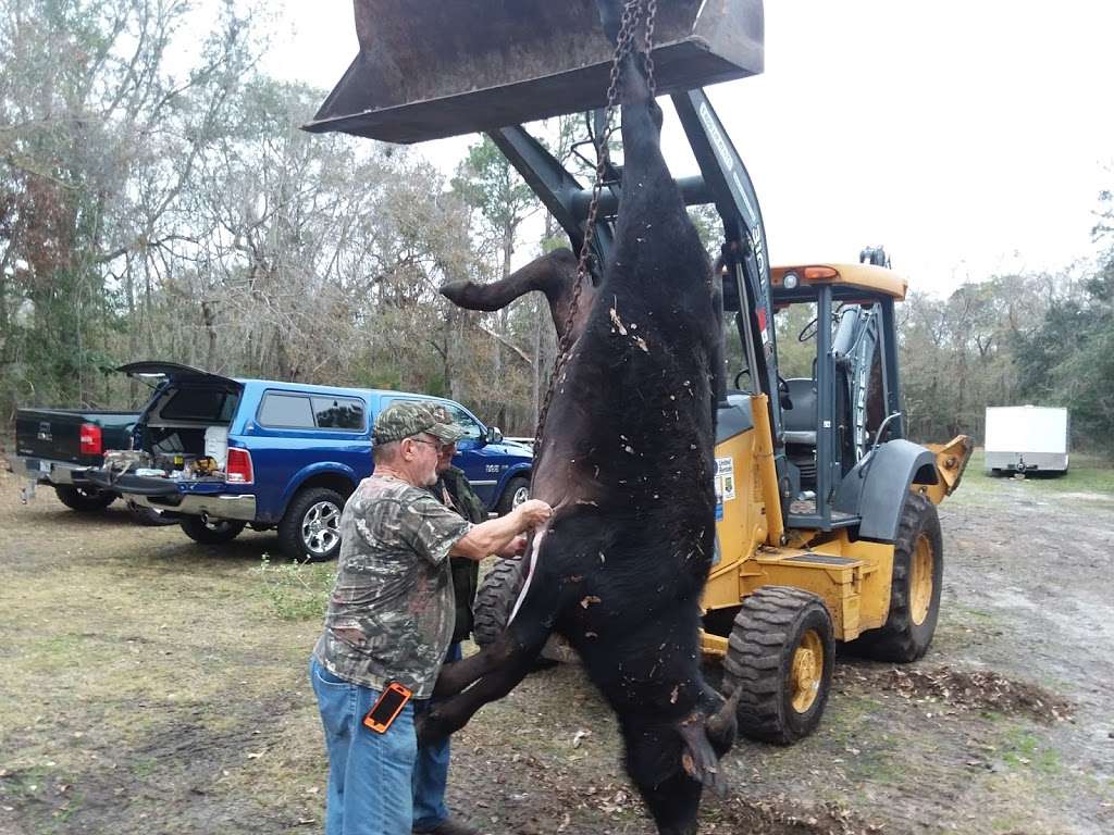 Stones Guided Hunts Inc. | 7861 Jewell Ln, Lake Wales, FL 33898, USA | Phone: (407) 376-2870