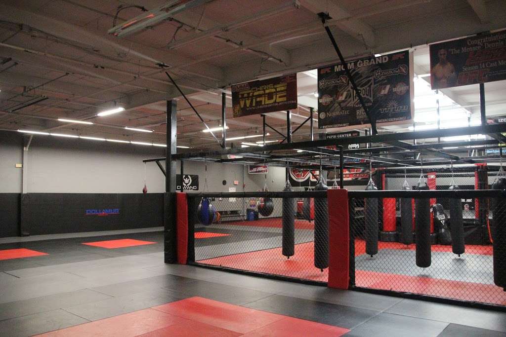 Long Island MMA and Fitness Center | 590 Smith St, Farmingdale, NY 11735 | Phone: (631) 592-8339