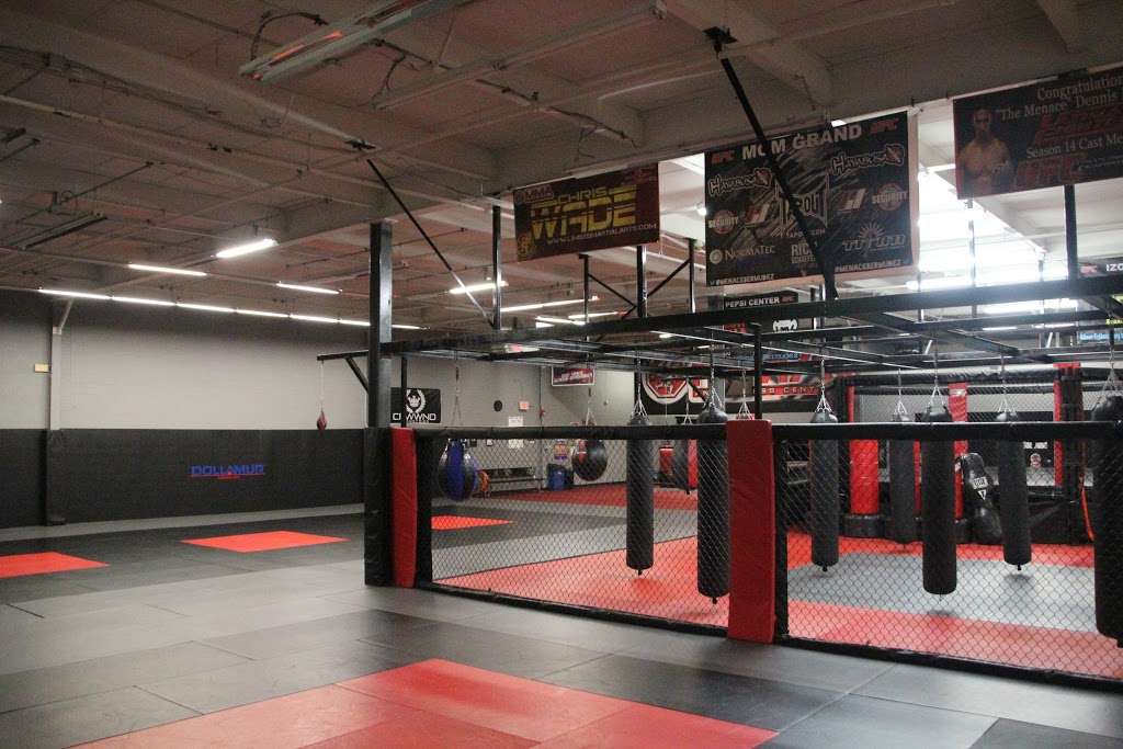 Long Island MMA and Fitness Center | 590 Smith St, Farmingdale, NY 11735, USA | Phone: (631) 592-8339