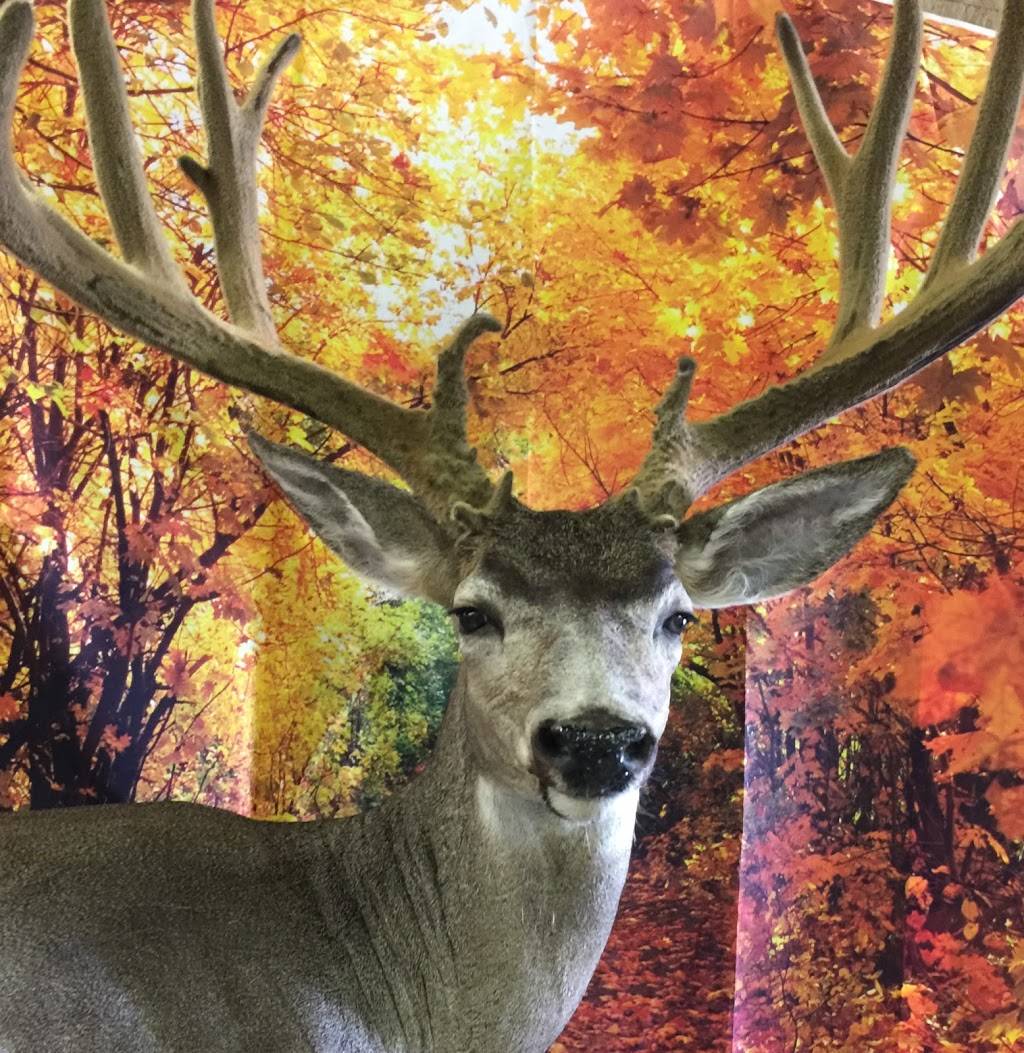 Ricks Taxidermy | 12969 Rd 37, Madera, CA 93636 | Phone: (559) 299-0448