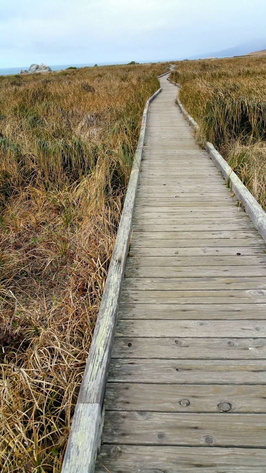 Kortum Trail Parking Lot | Shell Beach, Bodega Bay, CA 94923, USA