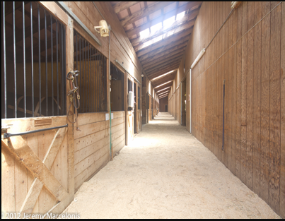 CPM Stables | 34 S Main St, Newton, NH 03858, USA | Phone: (603) 382-5544