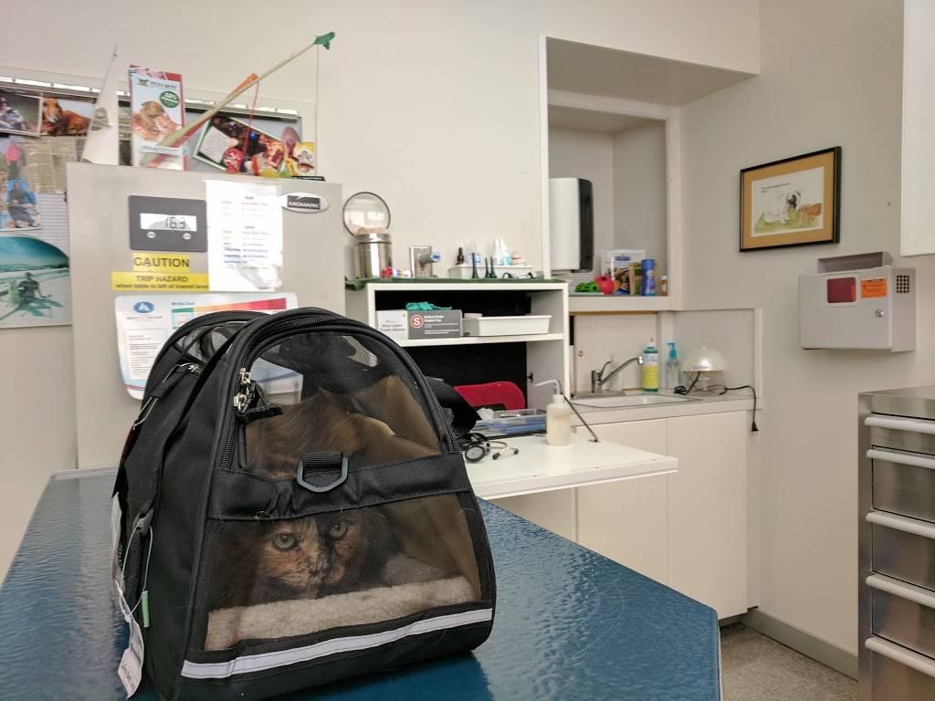 San Bruno Pet Hospital | 1111 El Camino Real, San Bruno, CA 94066, USA | Phone: (650) 583-5039