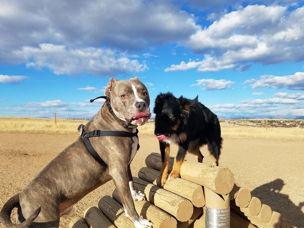 Dog Park | Castle Rock, CO 80108, USA