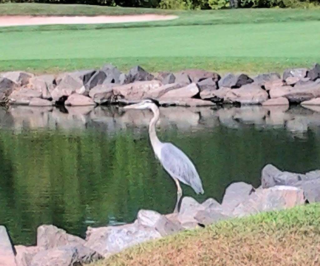 Northampton Golf Course | Richboro, PA 18954