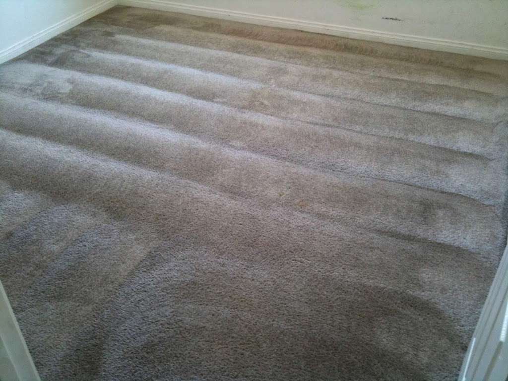 Best Building Carpet Care | 6829 Midpark Cir, Las Vegas, NV 89145, USA | Phone: (702) 286-3704