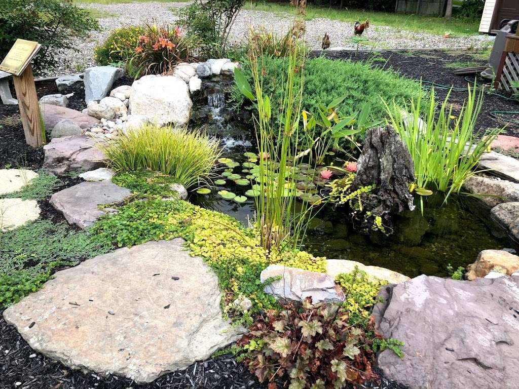 Landvista Aquascapes LLC | 212 White Horse Pike, Atco, NJ 08004, USA | Phone: (856) 768-9404