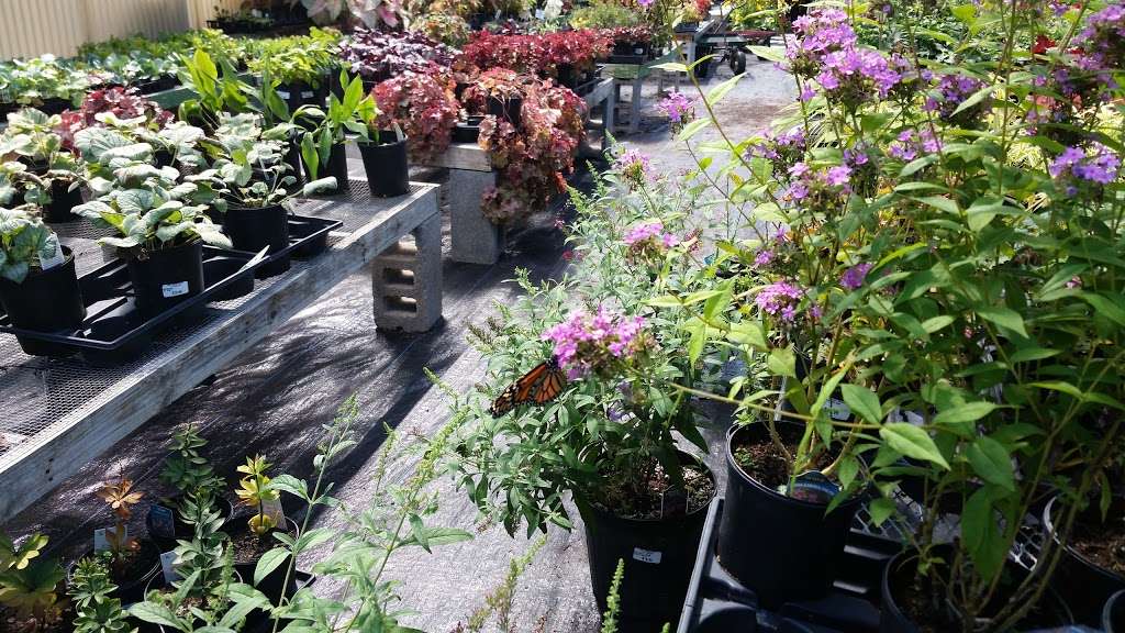 Pharo Garden Centre | 4505 Easton Ave, Bethlehem, PA 18020, USA | Phone: (610) 866-0246