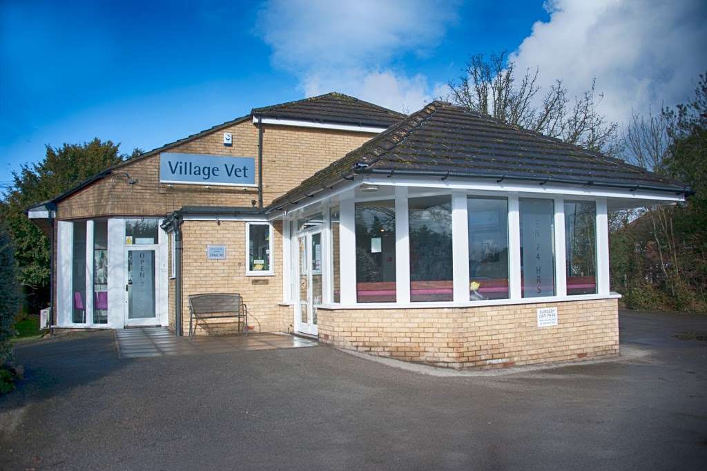 Village Vet St Albans Hospital | 601 Hatfield Rd, St Albans AL4 0HL, UK | Phone: 01727 852667