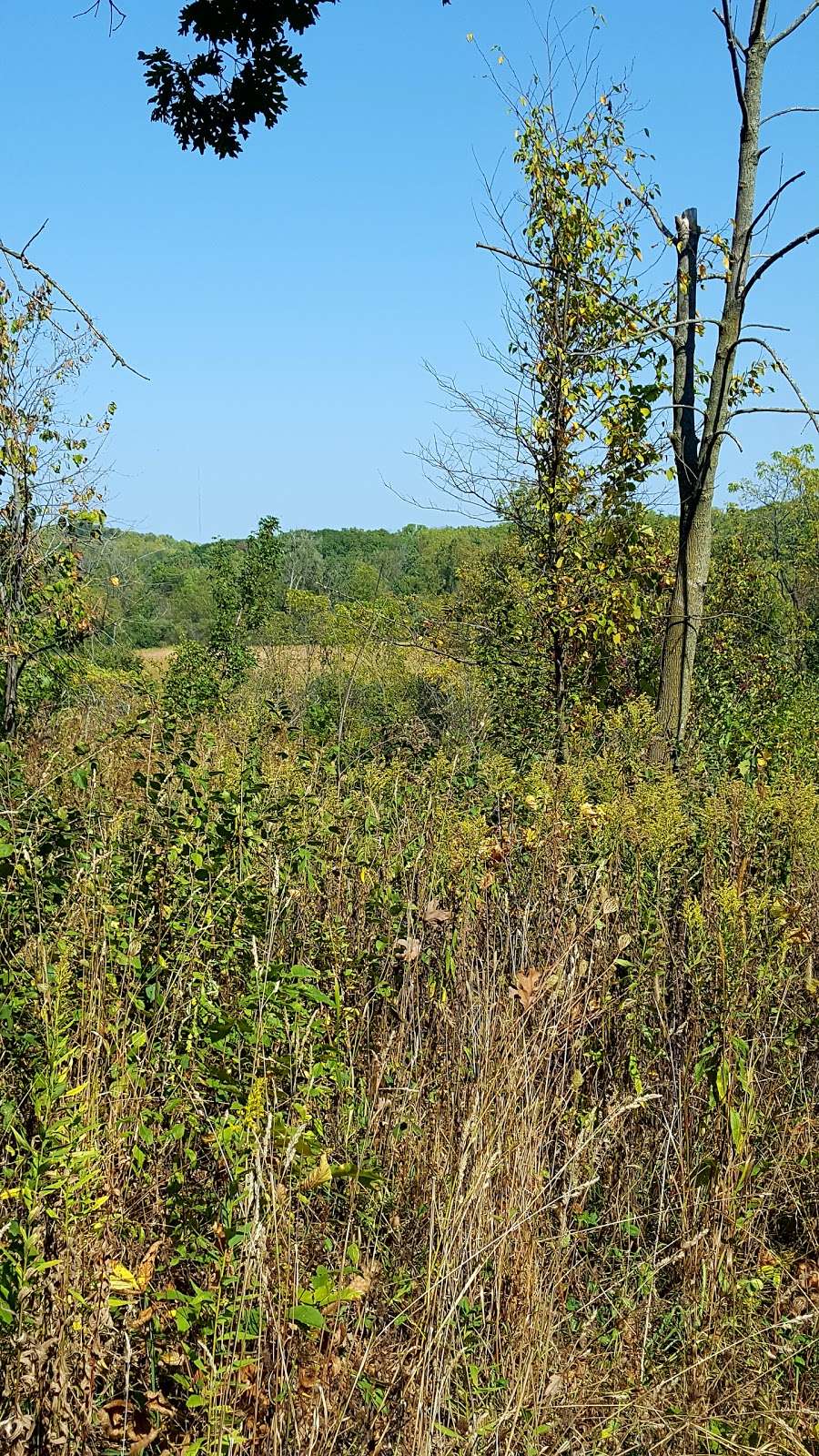 Badertscher Preserve | S74W20153, Field Dr, Muskego, WI 53150, USA