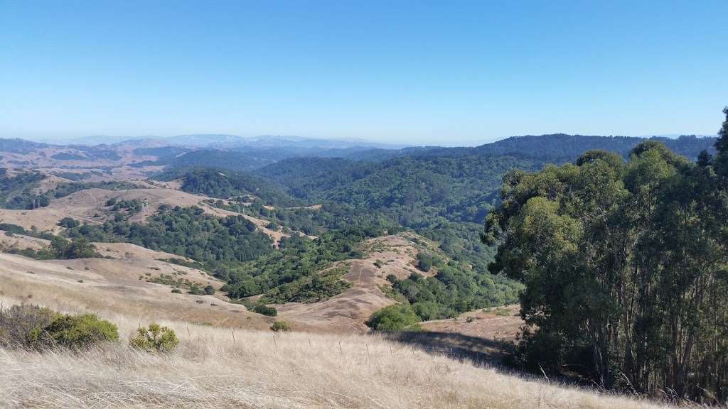 Sibley Volcanic Regional Preserve Labyrinth | Orinda, CA 94563, USA