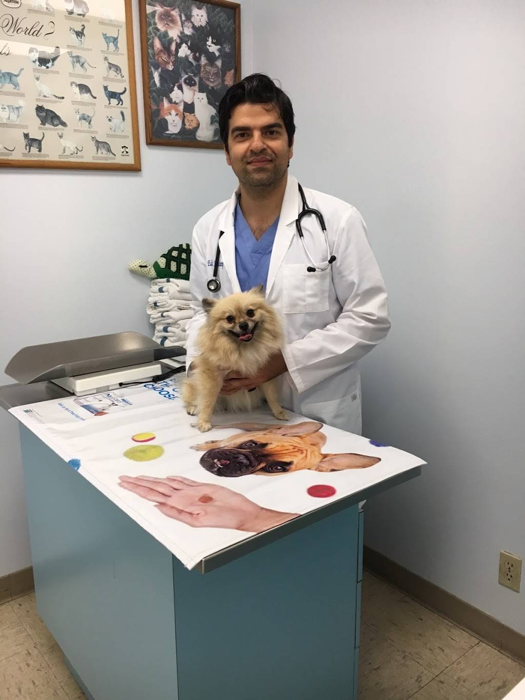 Sea Gate Veterinary Hospital | 16061 Bolsa Chica St, Huntington Beach, CA 92649, USA | Phone: (714) 846-4436