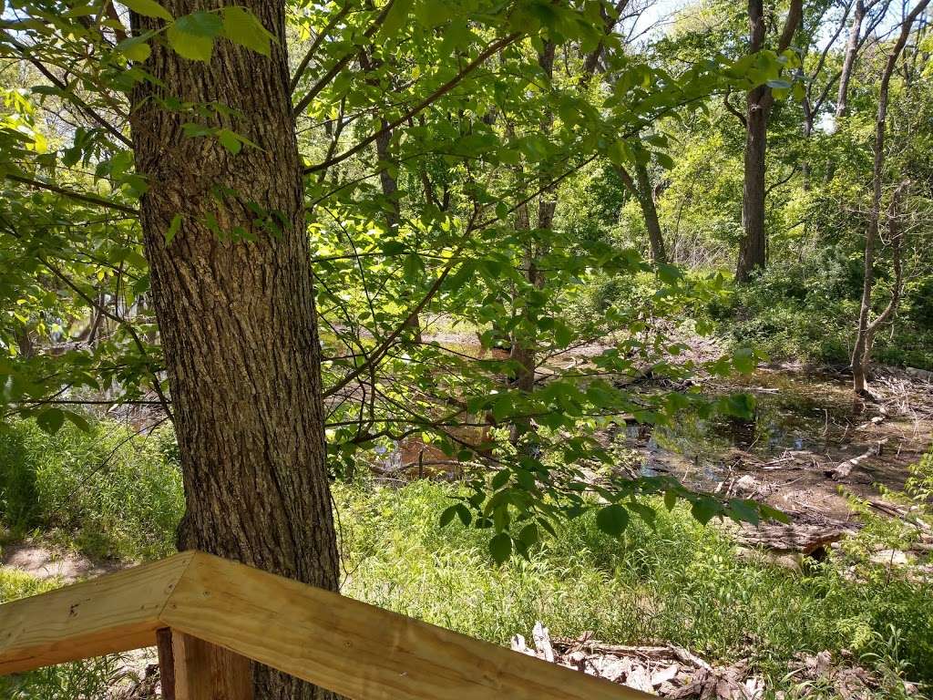 Rowlett Creek Preserve | 2525 Castle Dr, Garland, TX 75040, USA | Phone: (972) 205-2750