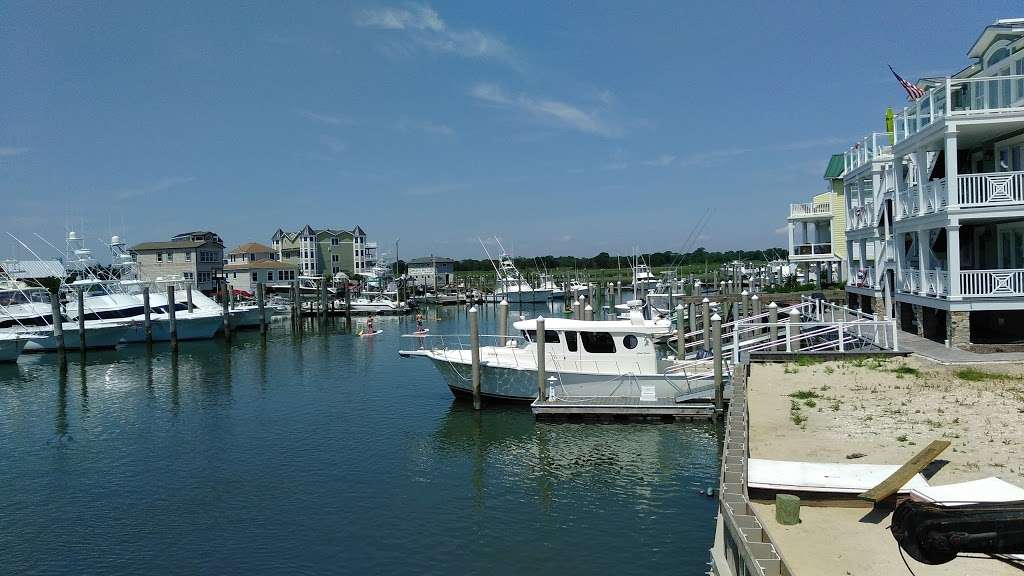 South Jersey Marina | 1231 NJ-109, Cape May, NJ 08204, USA | Phone: (609) 884-2400