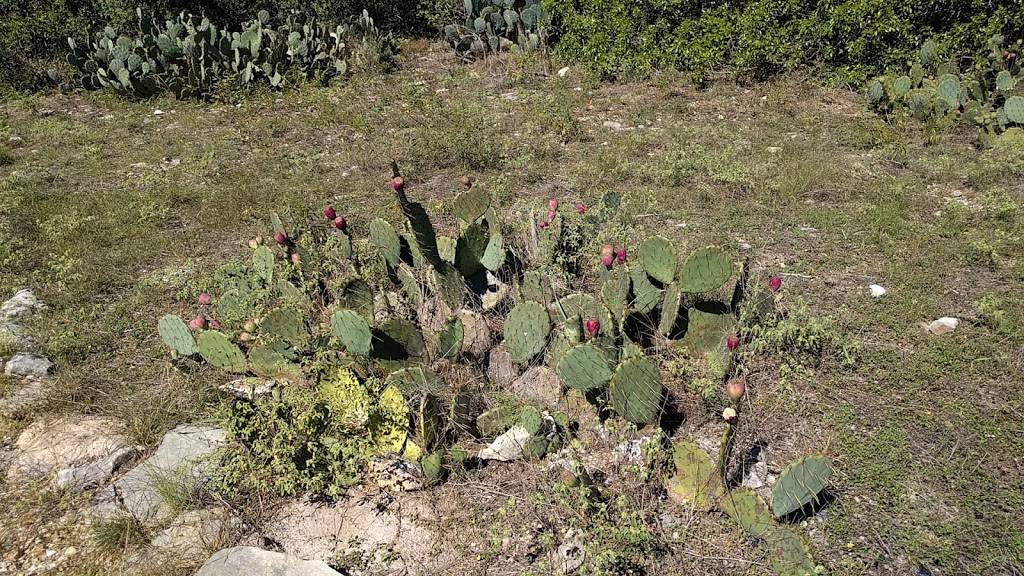 The Terrace Hiking Trail | Vía Fortuna, Austin, TX 78746, USA | Phone: (512) 974-6700