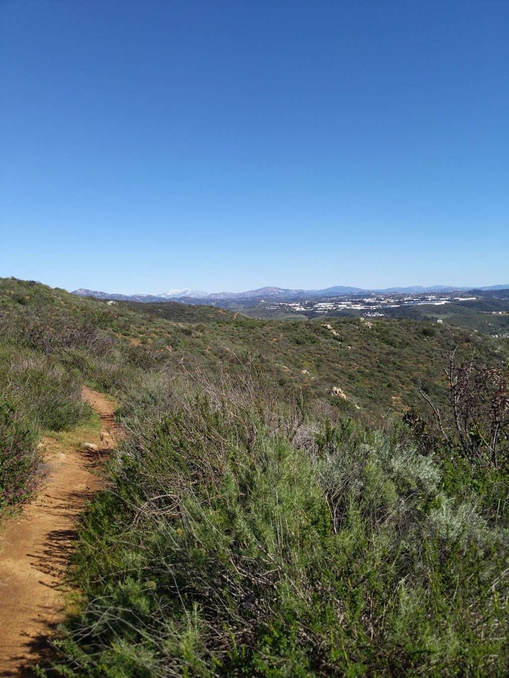 Van Dam Peak Savannah Trail | Van Dam Peak Savannah Trail, San Diego, CA 92128, USA