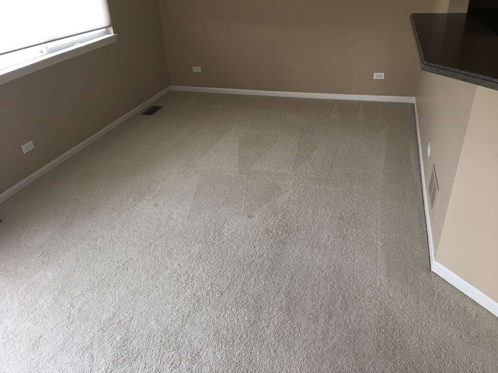 Totally Clean Carpet & Upholstery, LLC | 535 Telser Rd, Lake Zurich, IL 60047, USA | Phone: (847) 970-0920