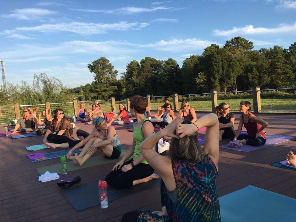 Vinyasa Arts Yoga Studio Lake Norman | 138 Village View Dr #101, Mooresville, NC 28117, USA | Phone: (980) 444-9165