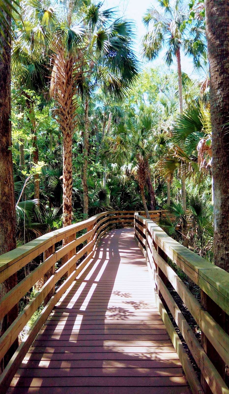 Black Bear Wilderness Area | 5301 Michigan Ave, Sanford, FL 32771 | Phone: (407) 665-0000