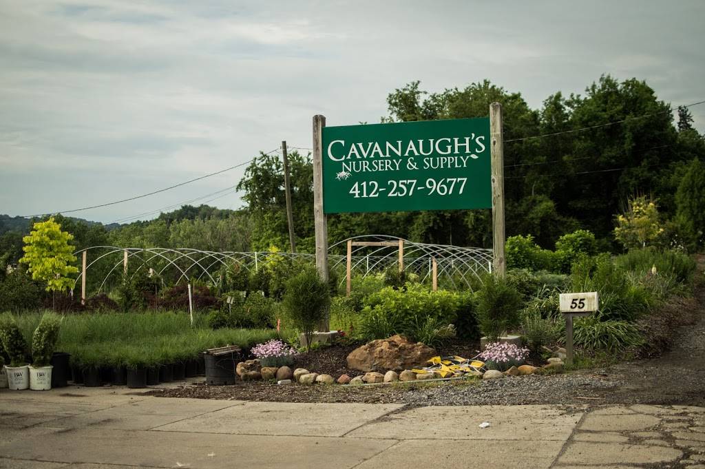 Cavanaughs Nursery & Supply | 55 Prestley Rd, Bridgeville, PA 15017, USA | Phone: (412) 257-9677