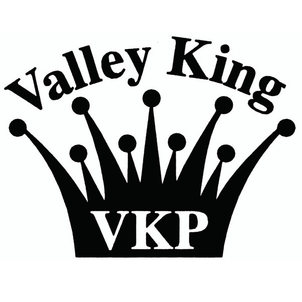 Nick Aguilar - Valley King Properties | 12416 N 28th Dr, Phoenix, AZ 85029, USA | Phone: (623) 888-8642
