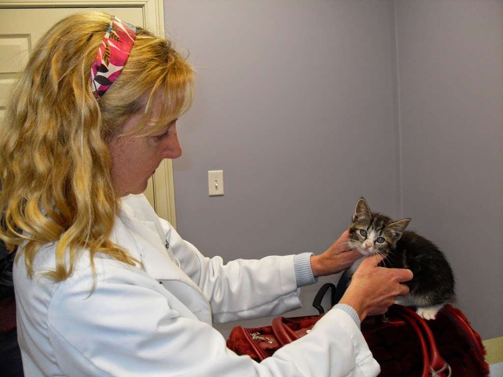 Healthy Paws Veterinary Center | 6 Old Flanders Rd, Westborough, MA 02518, USA | Phone: (508) 475-5051