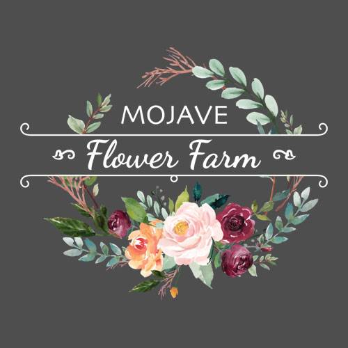 Mojave Flower Farm | 9549 W Ryan St, Wichita, KS 67205, USA | Phone: (316) 322-5818