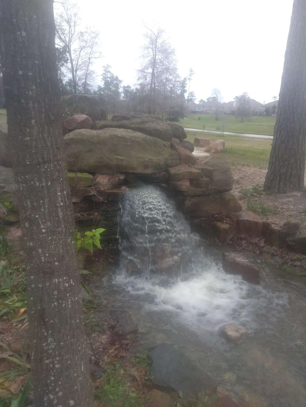 Parque Cipress Forest | Red Trail, Spring, TX 77388, USA