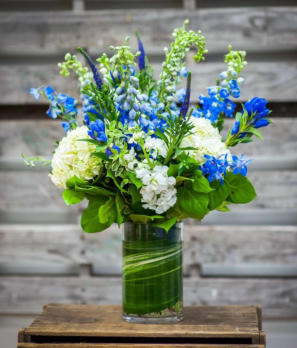 Flowers & Festivities | 35 Front St, Scituate, MA 02066, USA | Phone: (781) 545-0929