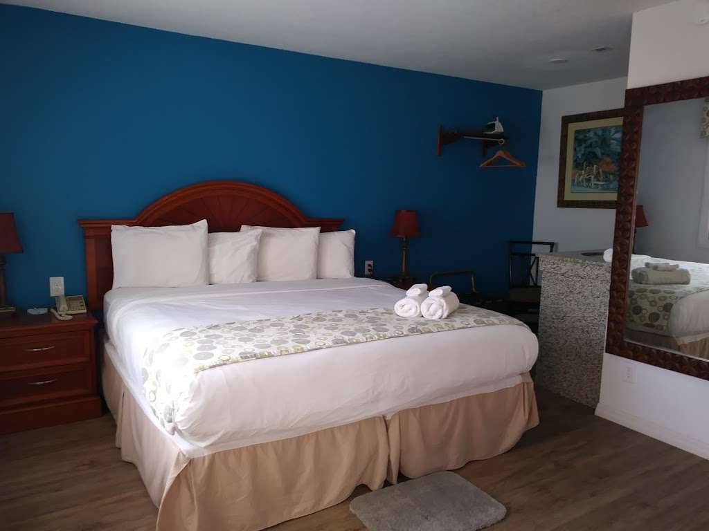 Dream Inn | 3217 S Atlantic Ave, Daytona Beach Shores, FL 32118, USA | Phone: (888) 280-5260